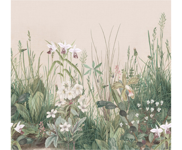 Fototapeet Treasures of Nature TD4252