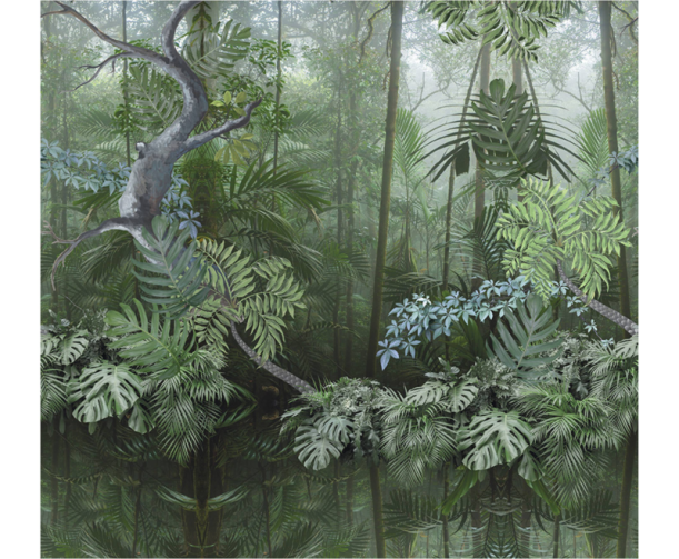 Fototapeet Treasures of Nature TD4256