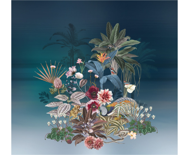 Fototapeet Treasures of Nature TD4261