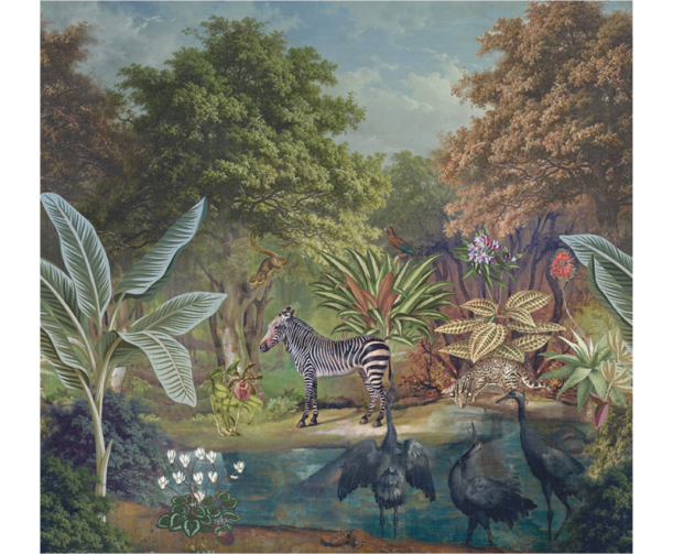 Fototapeet Treasures of Nature TD4264