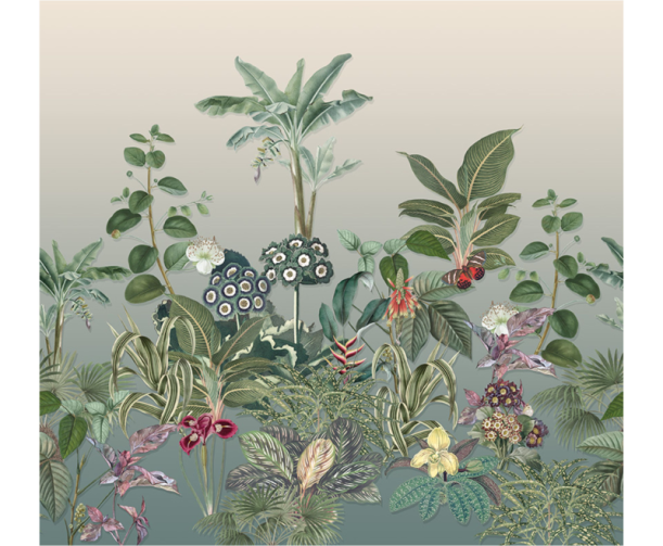 Fototapeet Treasures of Nature TD4265