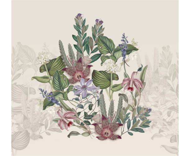 Fototapeet Treasures of Nature TD4266