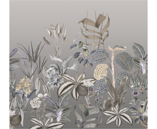 Fototapeet Treasures of Nature TD4277