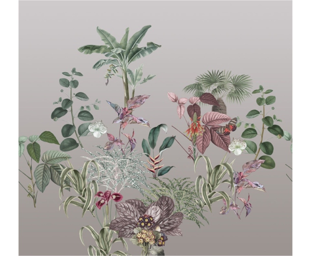 Fototapeet Treasures of Nature TD4279