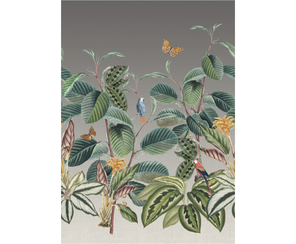 Fototapeet Treasures of Nature TD4282