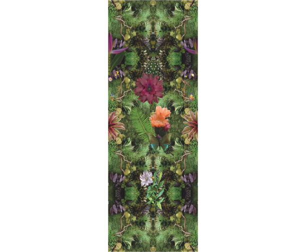 Fototapeet Treasures of Nature TD4284