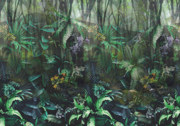 Fototapeet Treasures of Nature TD4287