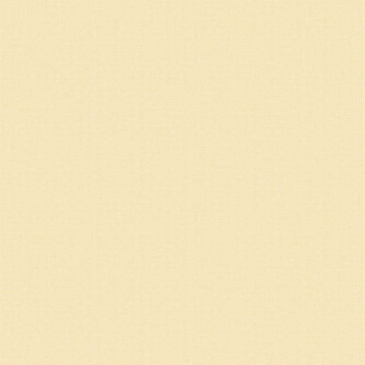 Tapeet Pipo Plain 463-4