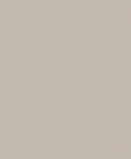 Tapeet Concrete 630423