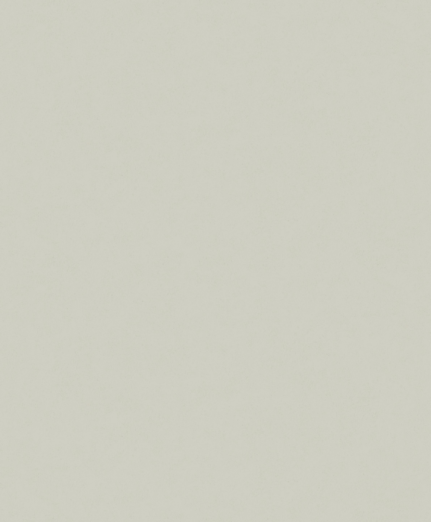 Tapeet Concrete 630426