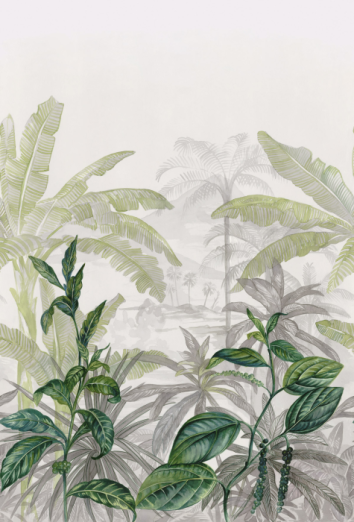 Fototapeet Olea 74840170