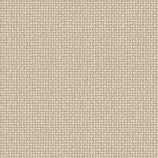 Tapeet Biderbost Weave 91602