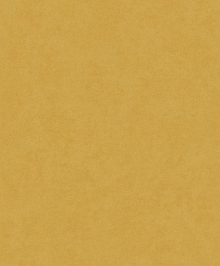 Tapeet Plain AF24505