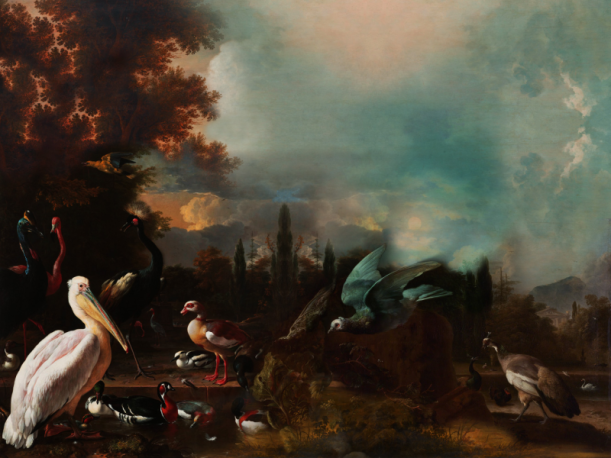 Fototapeet Art birds