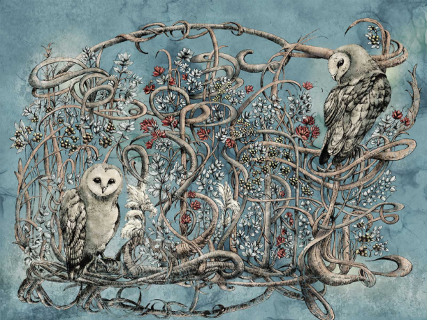 Fototapeet Avera 500312102