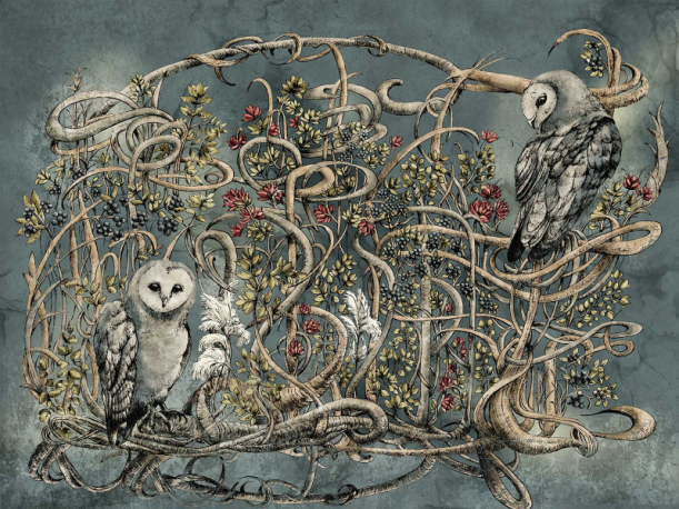 Fototapeet Avera 500322102