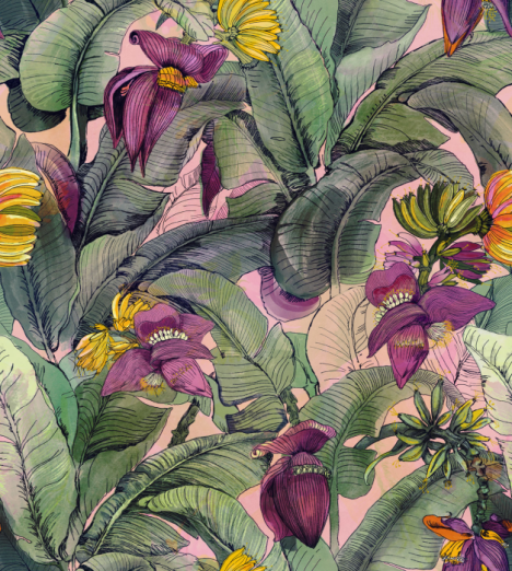 Fototapeet Banana Tree