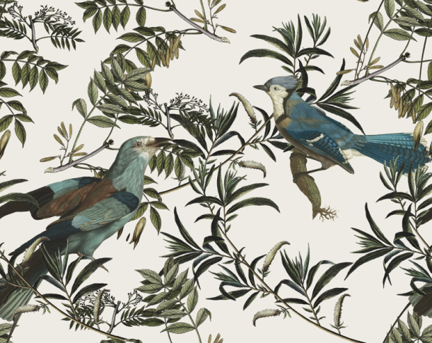 Fototapeet Birds in Garden Ecri