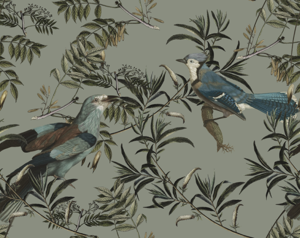 Fototapeet Birds in Garden