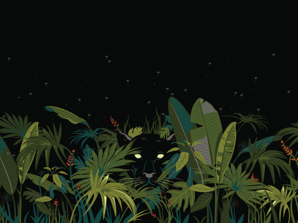 Fototapeet Black Panther