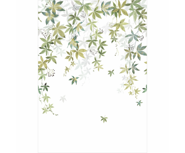 Fototapeet Vigne En Fleur WDWD 200067205 (S)