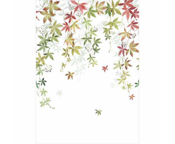 Fototapeet Vigne En Fleur WDWD 200067904 (L)