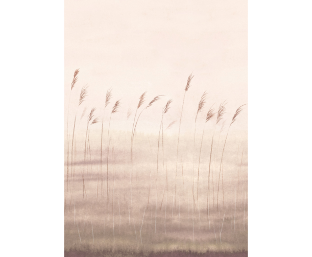 Fototapeet Jonc Des Dunes WDWD 200081503 (M)