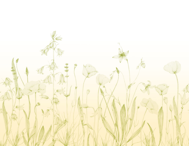 Fototapeet Promenade Bucolique WDWD 200167312 (L)