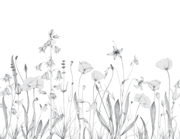 Fototapeet Promenade Bucolique WDWD 200169112 (L)