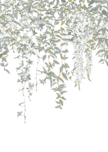 Fototapeet Cascade 85277212