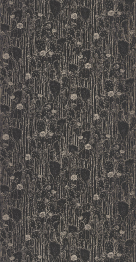 Tapeet Cactaceae BOTA 85929512