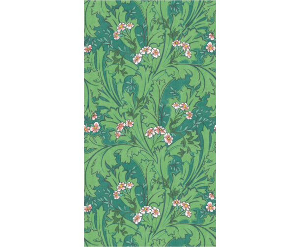 Fototapeet Mollis ARCR 86397687