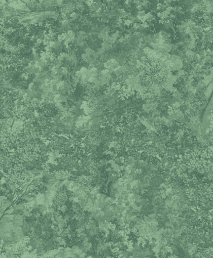 Tapeet Canopee 87247855