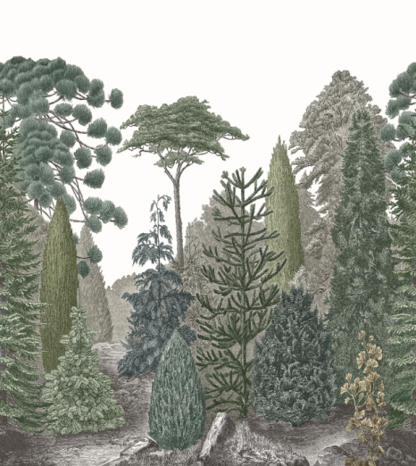 Fototapeet Pinede MEDI 87457201 (M)