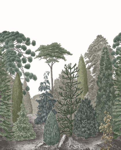 Fototapeet Pinede MEDI 87457202 (L)