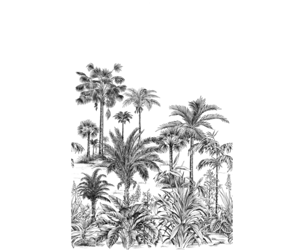 Fototapeet Nicoya WDWS 89129304 (L)