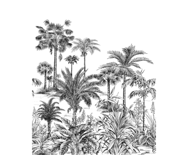 Fototapeet Nicoya WDWS 89129305 (S)