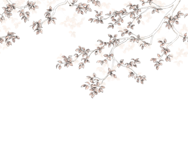 Fototapeet Calming Leaves WDWS 89134107 (S)