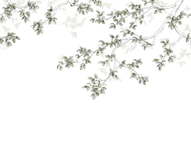 Fototapeet Calming Leaves WDWS 89137507 (S)