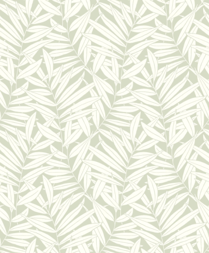 Tapeet Preston DERB 89317246