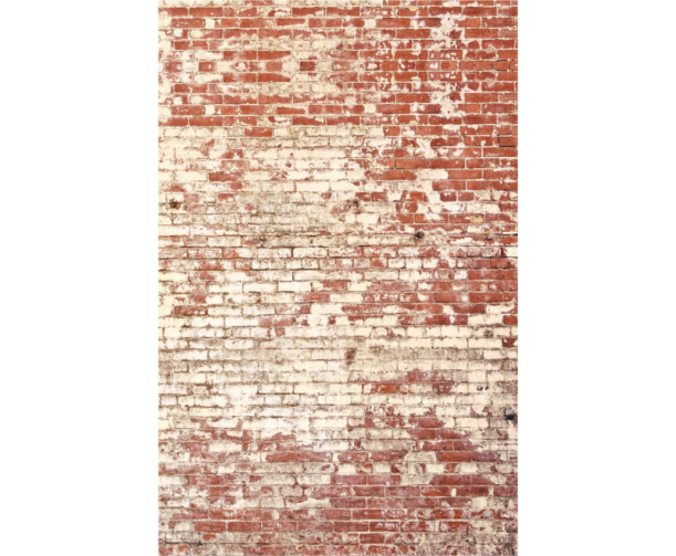 Fototapeet Poetic Wall YNF 103438204 (L)