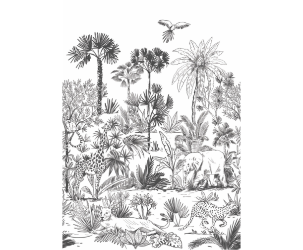 Fototapeet Decouvrir ADM 103599003 (M)