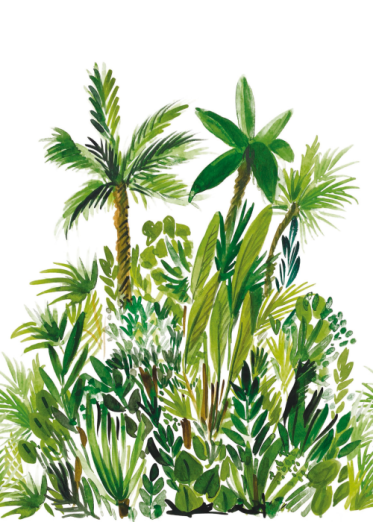 Fototapeet Fidji GCO 104007003 (M)