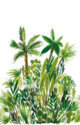 Fototapeet Fidji GCO 104007004 (L)