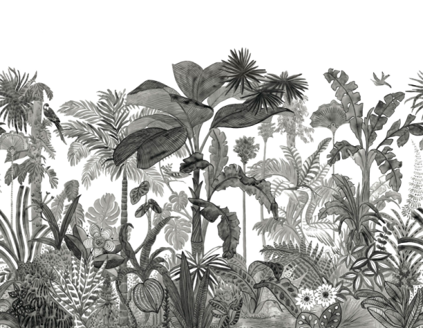 Fototapeet Exotica MLGT 104120912