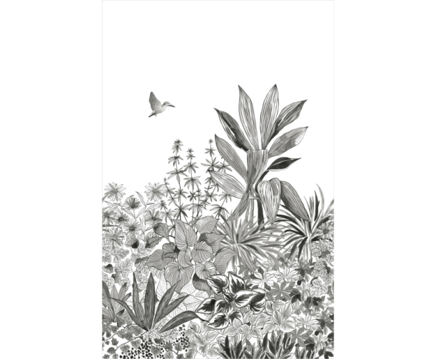 Fototapeet Colibri MLGT 104140934