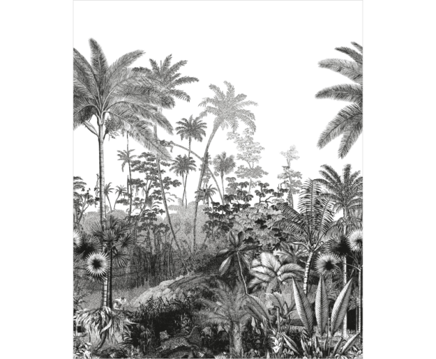 Fototapeet Fantastic Forest MLGT 104150945