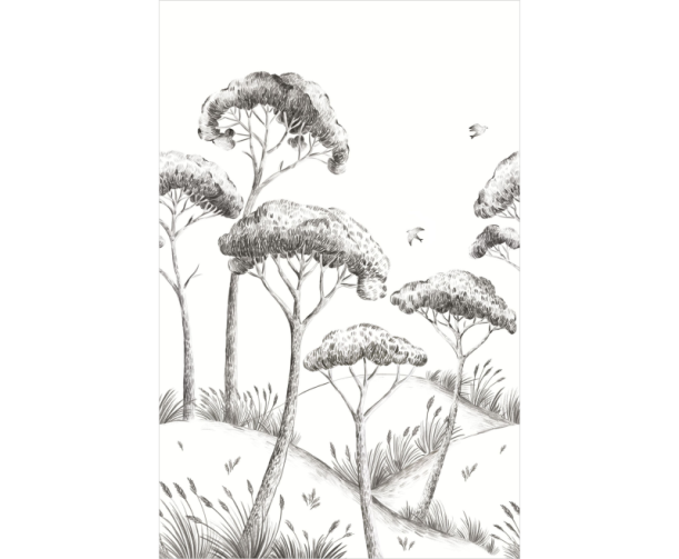 Fototapeet Pinea MLGT 104170967