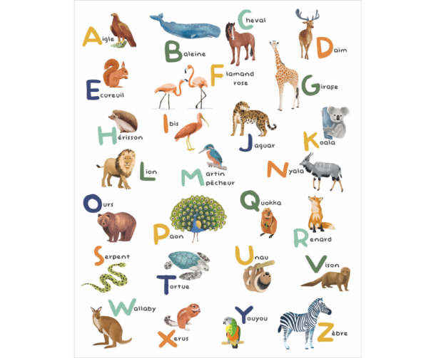 Fototapeet Apprenons L`Alphabet MNM 105672305 (S)