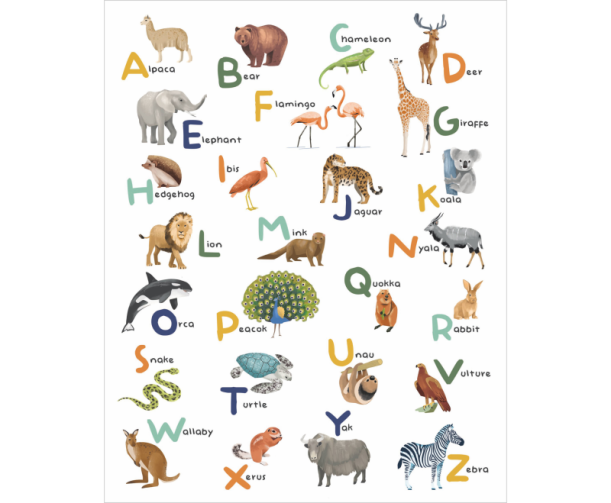 Fototapeet Let`s Learn Alphabet MNM 105857003 (M)